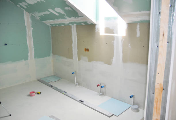 Best Attic Mold Removal  in Cottage Grove, MN