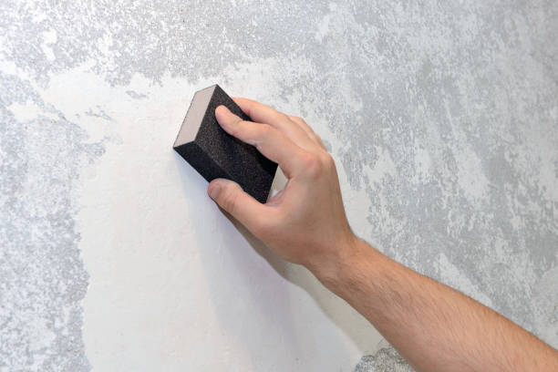 Best Mold Documentation for Insurance Claims  in Cottage Grove, MN