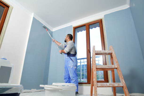 Best Post-Construction Mold Inspection  in Cottage Grove, MN