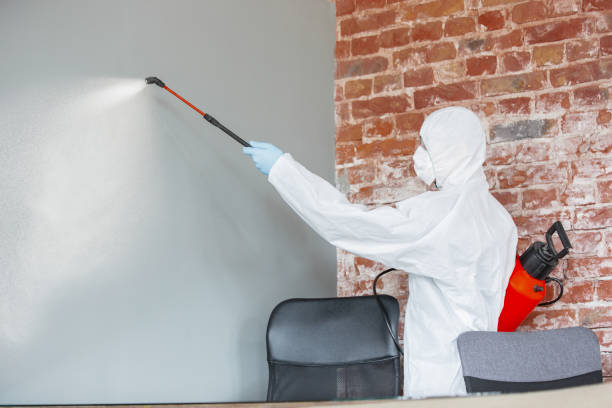 Asbestos and Lead Testing During Mold Inspection