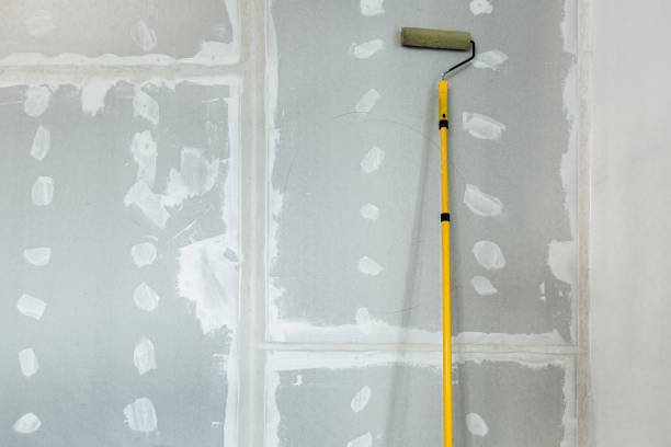 Professional Mold Removal in Cottage Grove, MN