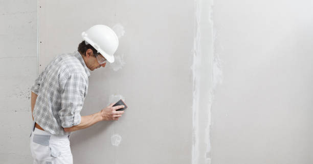 Best Commercial Mold Inspection  in Cottage Grove, MN