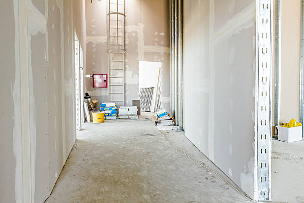 Best Mold Remediation for Healthcare Facilities  in Cottage Grove, MN